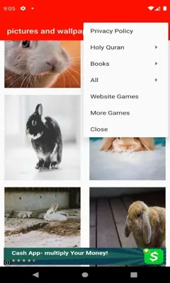 pictures and wallpapers of the rabbit 4k android App screenshot 0