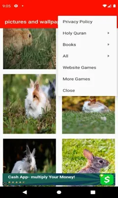 pictures and wallpapers of the rabbit 4k android App screenshot 6