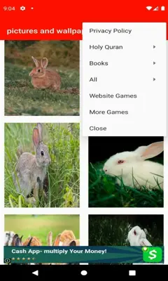 pictures and wallpapers of the rabbit 4k android App screenshot 7